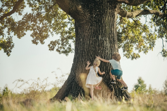 Kids climbing tree